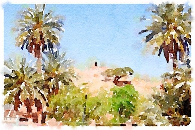 A beehive topped white saint's tomb, a marabout, atop a palm framed hill in Algeria