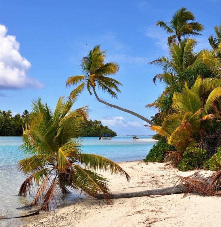 Palms bending across the beach at the edge of the lagoon One Foot Island Cook Islands