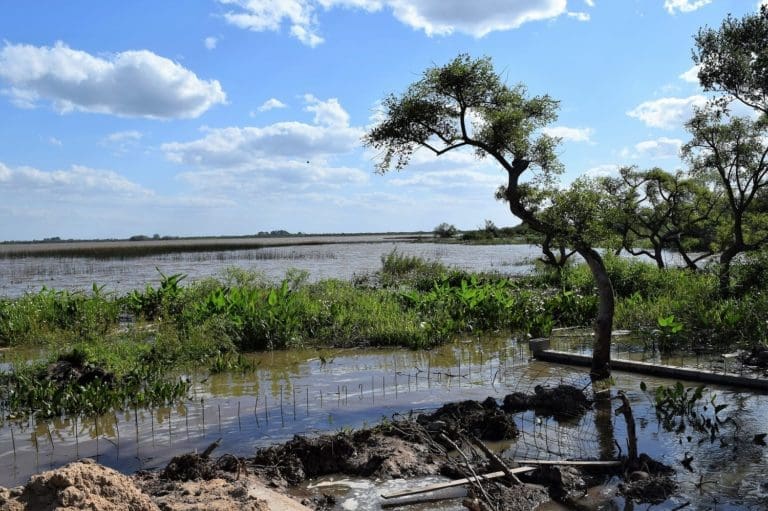 A view across the River Plate, Uruguay
