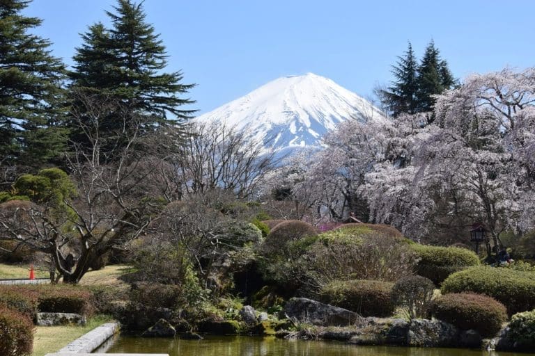 View of Fuji From the Fuji View Hotel garden,, Kawaguchigo, Japan