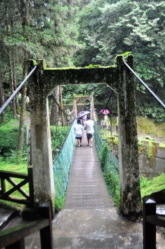 A moss covered stone suspension bridge at Alishan Scenic Park