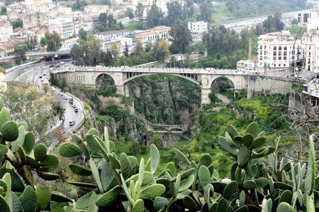 A dramatic bridge framed by cacti across the ravine in the mist at Constantine