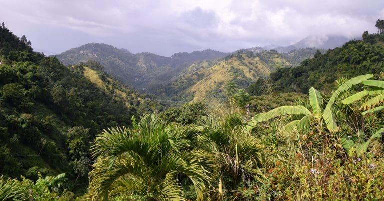 View across the Blue Mountains, Jamaica