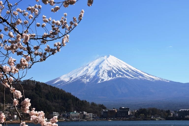 Cherry blossom in front of Mount Fuji, Japan